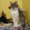 Отзыв от Валерия Демьянова